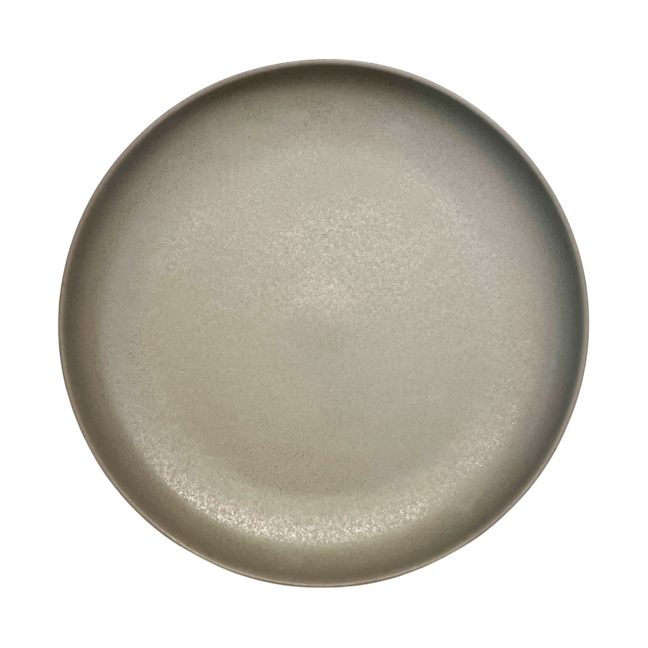 STIPPLE Sage Dinner Plate Set of 4